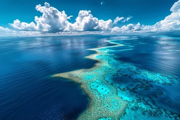 Foto op Plexiglas a blue ocean with a coral reef © Gheorghe