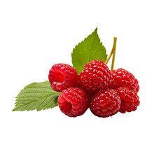 Fresh berries isolated photography transparent background
