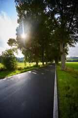Entlang der Ruhr, Ruhrtalradweg, Ense, Wickede, Kreis Soest, 2023