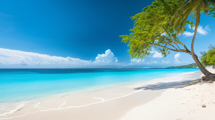 A pristine tropical beach with turquoise waters 