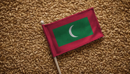 Maldive flag on a background of wheat grain. Concept of grain deal and world food security. Texture or backdrop