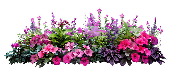 Garden flowers cut out