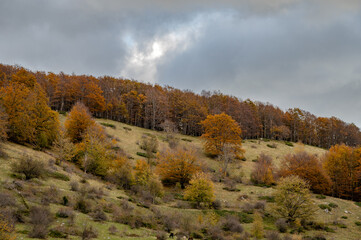 Molise, Mainarde. Autumn landscape. Foliage