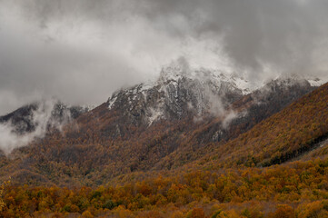 Molise, Mainarde. Autumn landscape. Foliage