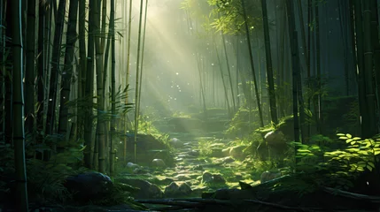 Foto op Plexiglas A tranquil bamboo forest with sunlight filtering  © Little