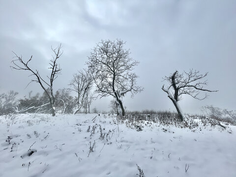 Winter landscape near Radobyl hill, Czech Republic