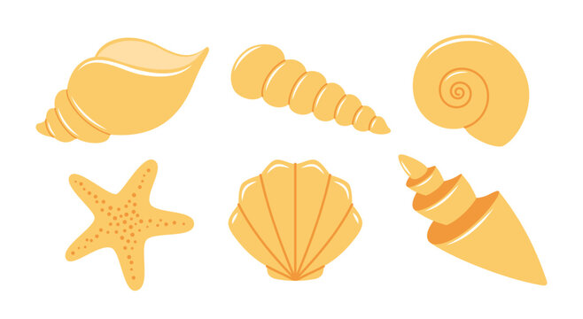 Vector set of sea shells isolated on white background