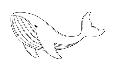 Vector whale isolated on white background