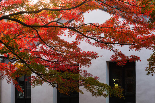 Autumn Scenery of Huishan Ancient Town in Wuxi