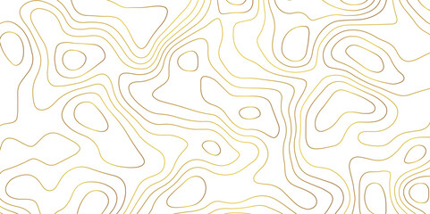 Topographic map and landscape terrain texture grid.  Abstract lines background. Contour maps. Vector illustration. golden and white topographic contours lines of mountains.