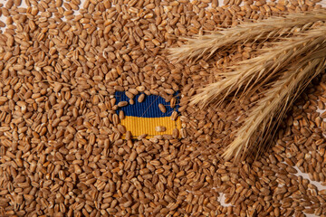 blue and yellow flag of Ukraine lies on grain, next to ears of wheat.the concept of war in Ukraine...