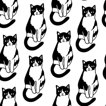 seamless pattern with pet cat character in vector. on animal topic in doodle style. Template for wallpaper background wrapping postcard print