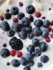 Organic gluten-free berries and oats, breakfast meal 