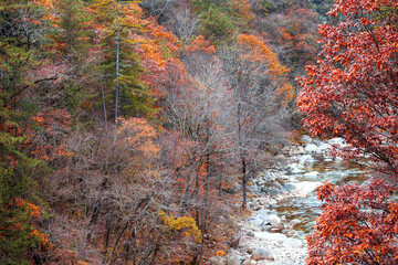 Autumn Scenery of Huangbaiyuan in Qinling Mountains, Shaanxi Province
