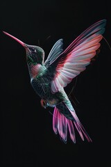 Fototapeta premium A hummingbird in mid-flight, perfect for nature designs