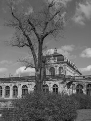 Dresden an der Elbe