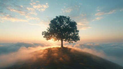 A solitary tree stands atop a hill enveloped by a gentle sea of clouds during sunrise, with golden sunlight piercing through, creating a tranquil and dreamy landscape. - obrazy, fototapety, plakaty