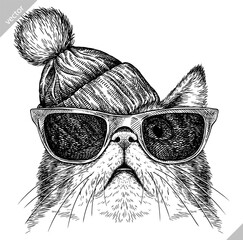 Vintage engraving isolated cat glasses dressed fashion set illustration kitty ink sketch. Pet background kitten silhouette whisker sunglasses hipster hat art. Black and white hand drawn vector image - 765563008