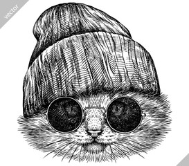 Vintage engraving isolated cat glasses dressed fashion set illustration kitty ink sketch. Pet background kitten silhouette whisker sunglasses hipster hat art. Black and white hand drawn vector image - 765563010