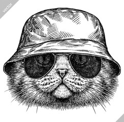 Vintage engraving isolated cat glasses dressed fashion set illustration kitty ink sketch. Pet background kitten silhouette whisker sunglasses hipster hat art. Black and white hand drawn vector image - 765563018