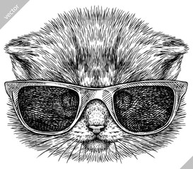 Vintage engraving isolated cat glasses dressed fashion set illustration kitty ink sketch. Pet background kitten silhouette whisker sunglasses hipster hat art. Black and white hand drawn vector image - 765563021