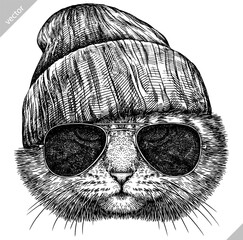 Vintage engraving isolated cat glasses dressed fashion set illustration kitty ink sketch. Pet background kitten silhouette whisker sunglasses hipster hat art. Black and white hand drawn vector image - 765563023