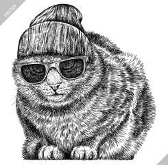 Vintage engraving isolated cat glasses dressed fashion set illustration kitty ink sketch. Pet background kitten silhouette whisker sunglasses hipster hat art. Black and white hand drawn vector image - 765563045