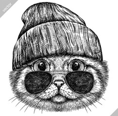 Vintage engraving isolated cat glasses dressed fashion set illustration kitty ink sketch. Pet background kitten silhouette whisker sunglasses hipster hat art. Black and white hand drawn vector image - 765563046