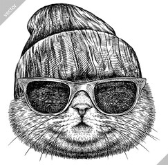 Vintage engraving isolated cat glasses dressed fashion set illustration kitty ink sketch. Pet background kitten silhouette whisker sunglasses hipster hat art. Black and white hand drawn vector image - 765563049