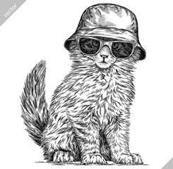 Vintage engraving isolated cat glasses dressed fashion set illustration kitty ink sketch. Pet background kitten silhouette whisker sunglasses hipster hat art. Black and white hand drawn vector image - 765563056