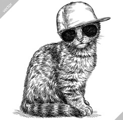 Vintage engraving isolated cat glasses dressed fashion set illustration kitty ink sketch. Pet background kitten silhouette whisker sunglasses hipster hat art. Black and white hand drawn vector image - 765563059