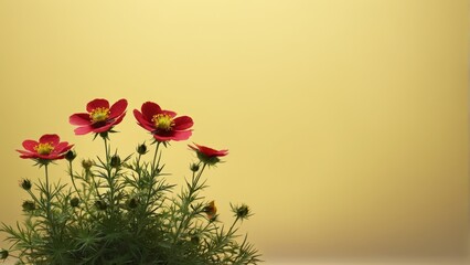  Red flowers atop green plant in yellow-walled room