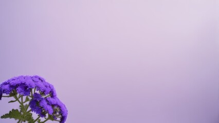  A stunning image captures a vase of purple flowers resting atop a wooden table, alongside another vase brimming with the same vibrant blooms