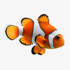 a vibrant orange and white clownfish isolated on a white background