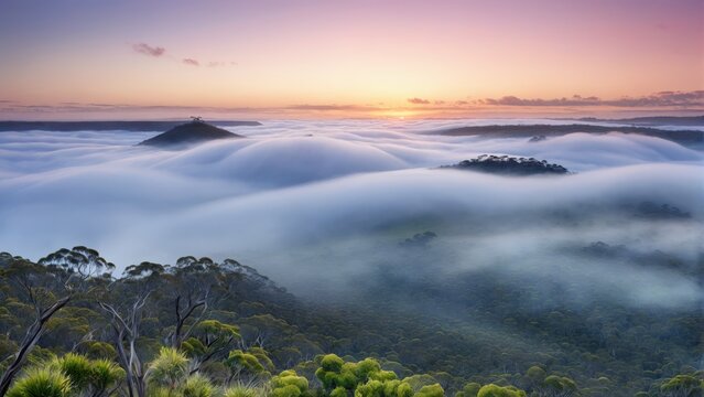  A stunning view of a sunset over a foggy mountain range with trees in the foreground and low-lying clouds in the distance This image is perfect for those who love nature and capt