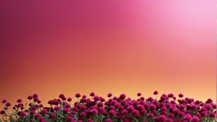 A picturesque field of vibrant purple blossoms bathed in a stunning pink sky, captured perfectly in this breathtaking photo
