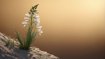  A serene scene of nature, featuring a delicate white bloom nestled atop a sandy dune beside a rustic stone structure