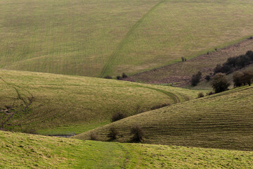 A full frame photograph of a rolling South Downs landscape