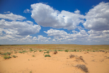 Fototapeta na wymiar Landscape of a sandy desert on a sunny day.
