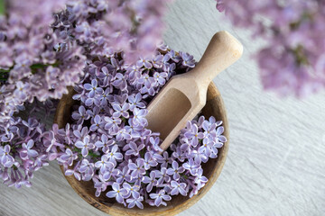 Wooden Bowl with wooden spoon of fresh purple lilac petals with branch of blooming lilac. Lilac...