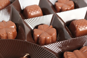 Chocolate Pralines in Box