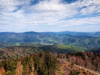 View of Village Ochotnica Dolna in Gorce mountains from summit of mountain Luban. - obrazy, fototapety, plakaty