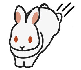 飛び跳ねる白いウサギ