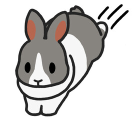 飛び跳ねるブルーダッチのウサギ
