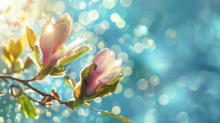 Foto op Canvas Blooming pink magnolia in springtime on pastel blue sky © svittlana