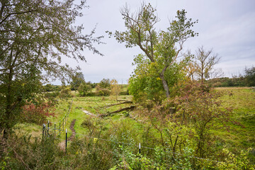 Naturschutzgebiet Pöppelsche Talsystem, Erwitte, Kreis Soest, NRW, Deutschland, 2023