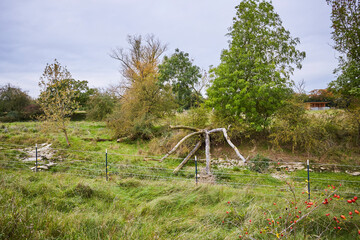 Naturschutzgebiet Pöppelsche Talsystem, Erwitte, Kreis Soest, NRW, Deutschland, 2023