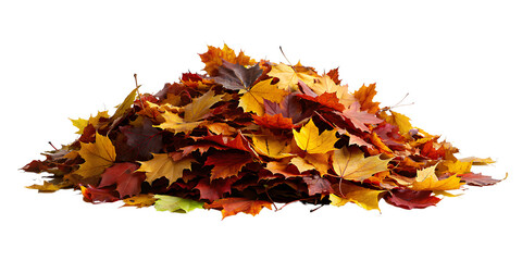 Autumn Leaves Collection on Transparent Background