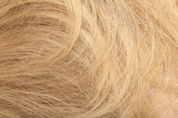 Blond hair close-up as a background. Women's long blonde hair. Beautifully styled wavy shiny curls. Hair coloring. Hairdressing procedures, extension.
