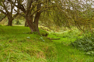 Naturschutzgebiet P&ouml;ppelsche Talsystem, Erwitte, Kreis Soest, NRW, Deutschland, 2023